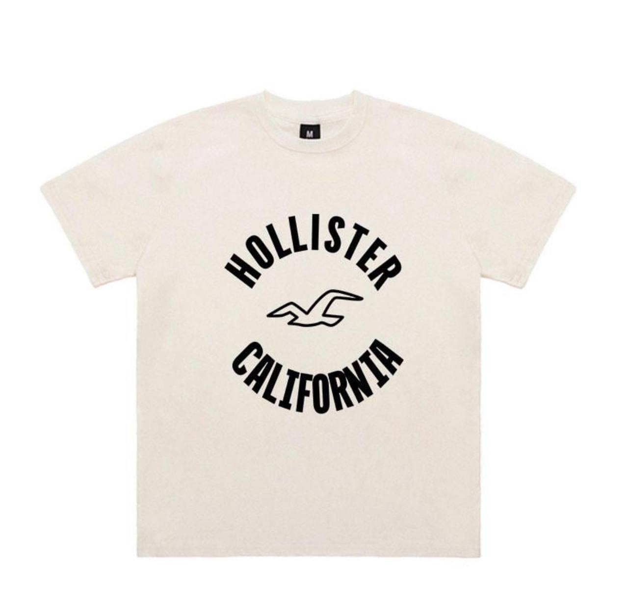 CAMISETA HOLLISTER ✨